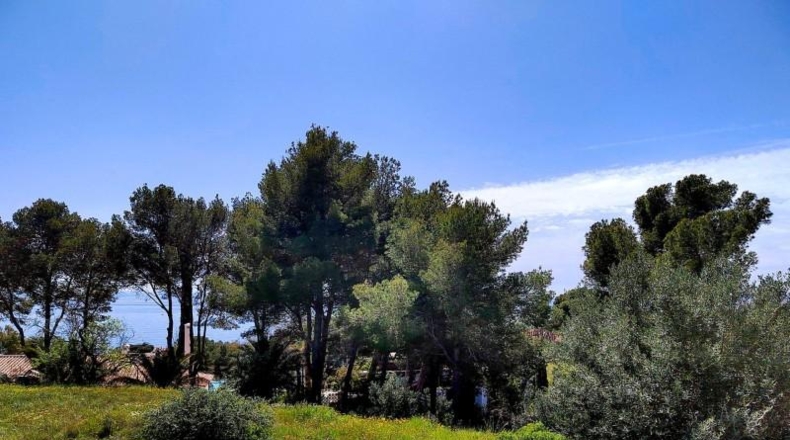 Malaga - Benalmádena - 1262m2