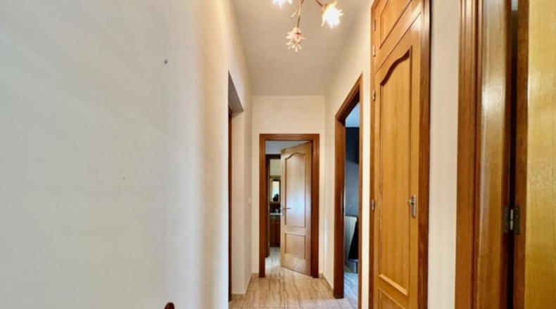 Аликанте - Pedreguer - 1200m2