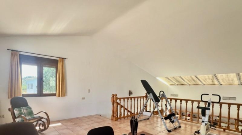 Аликанте - Pedreguer - 3951m2