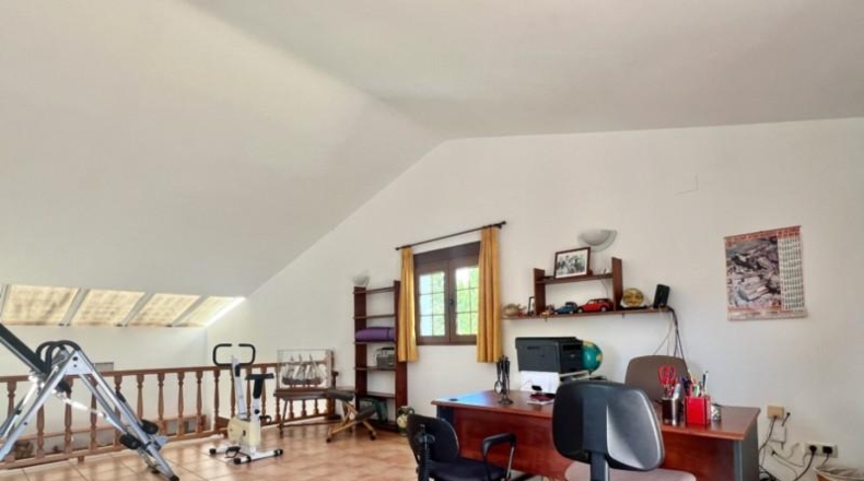 Аликанте - Pedreguer - 3951m2