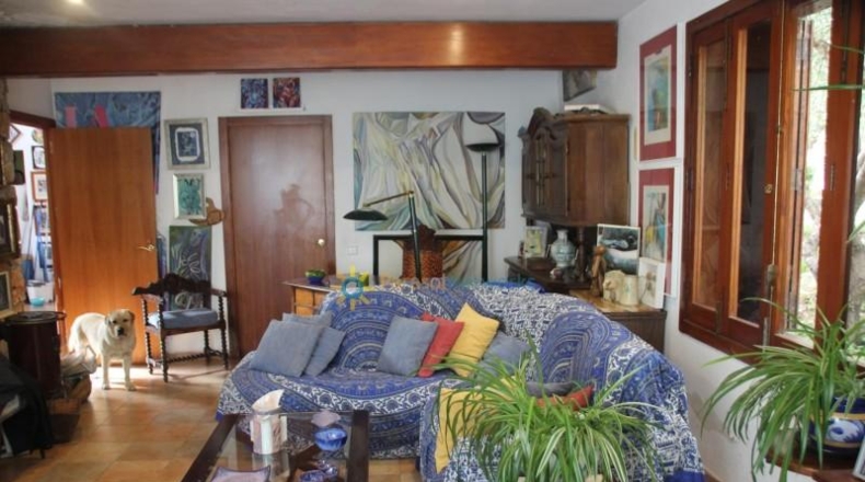 Valencia - Gandia - 12500m2