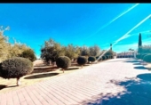 Chalet independiente con terreno en venta en la España, Aspe, ref: TR191810 foto