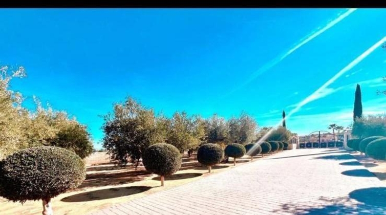 Alicante - Aspe - 11000m2