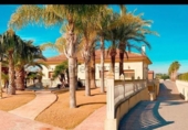 Chalet independiente con terreno en venta en la España, Aspe, ref: TR191810 foto