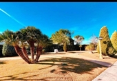 Chalet independiente con terreno en venta en la España, Aspe, ref: TR191810 foto
