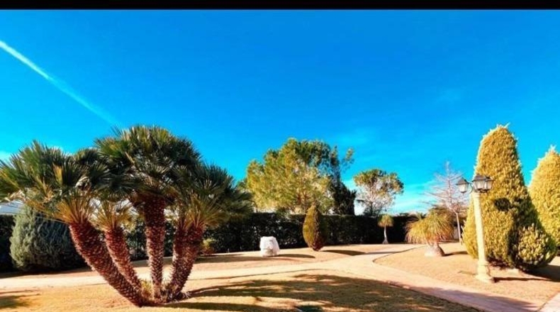 Alicante - Aspe - 11000m2