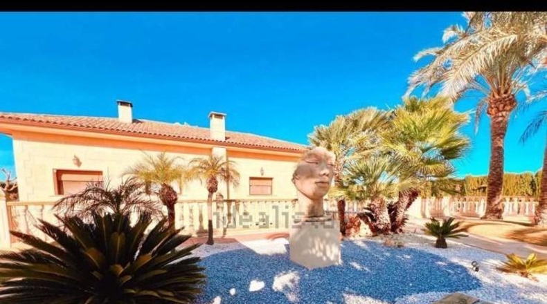 Alicante - Aspe - 11000m2