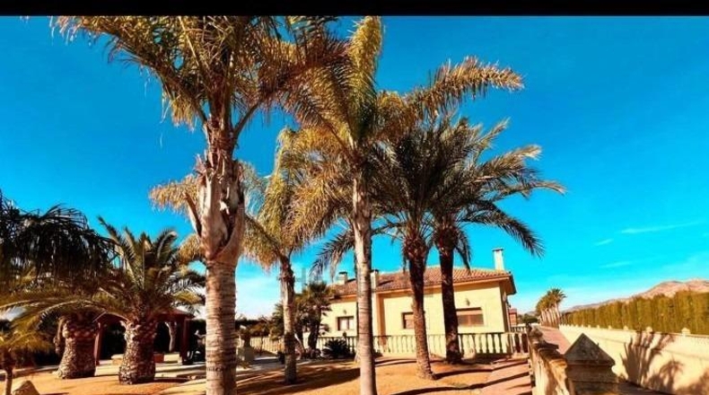 Alicante - Aspe - 11000m2