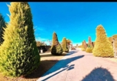 Chalet independiente con terreno en venta en la España, Aspe, ref: TR191810 foto