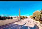 Chalet independiente con terreno en venta en la España, Aspe, ref: TR191810 foto
