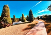 Chalet independiente con terreno en venta en la España, Aspe, ref: TR191810 foto
