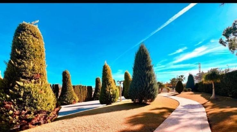 Alicante - Aspe - 11000m2