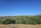 Casa de camp amb terreny en venda a la España, Ronda, ref.: TR198556 foto