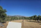 Casa de camp amb terreny en venda a la España, Ronda, ref.: TR198556 foto