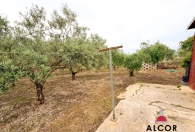 Benicarló 1350&nbsp;м²