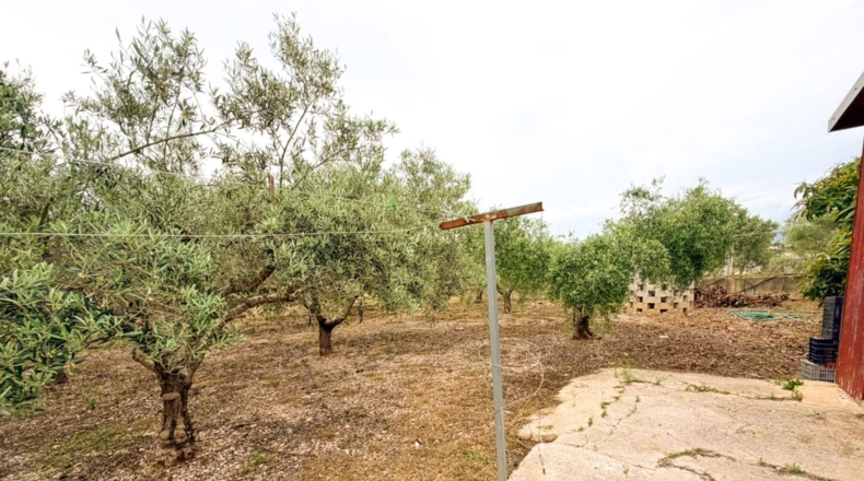 Castellón - Benicarló - 1350m2