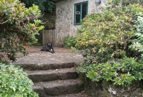 Foto 17