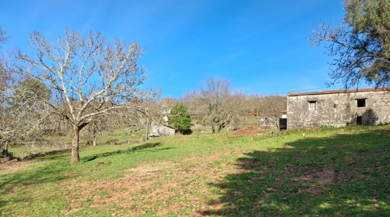 Понтеведра - Cerdedo - 2438m2