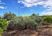 Chalet independiente con terreno en venta en Ontinyent ref: TR408946 foto