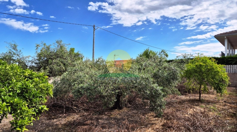 Валенсия - Ontinyent - 1059m2