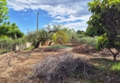 Chalet independiente con terreno en venta en Ontinyent ref: TR408946 foto