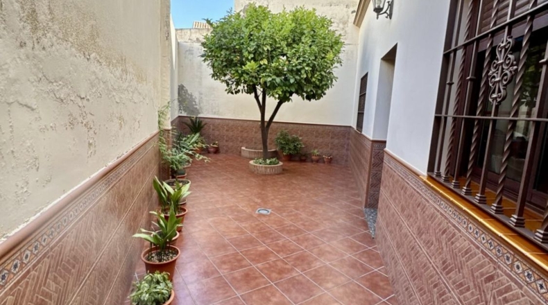 Sevilla - Alcalá de Guadaíra - 298m2