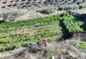 Земельный участок на продажу в городе Хаэн. Фото