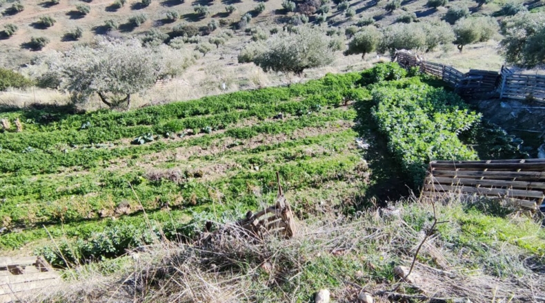 Jaén - Jaén - 8700m2