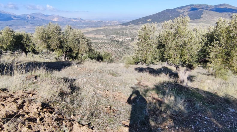 Jaén - Jaén - 8700m2