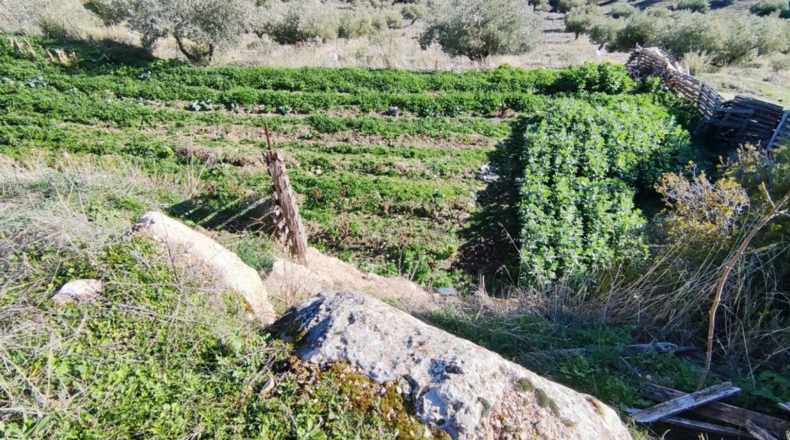Jaén - Jaén - 8700m2