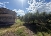 Finca rústica en venda a Tortosa ref.: TR395445 foto