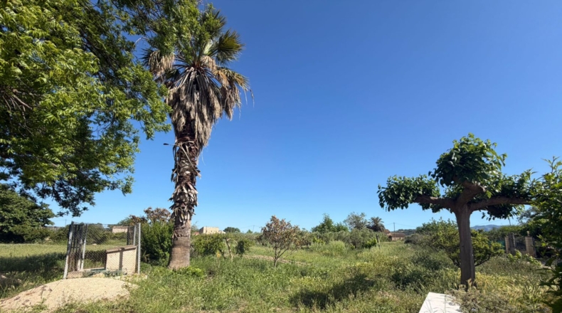 Tarragona - Tortosa - 7072m2