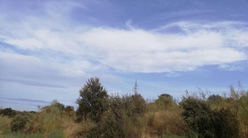 Toledo - El Casar de Escalona - 30000m2