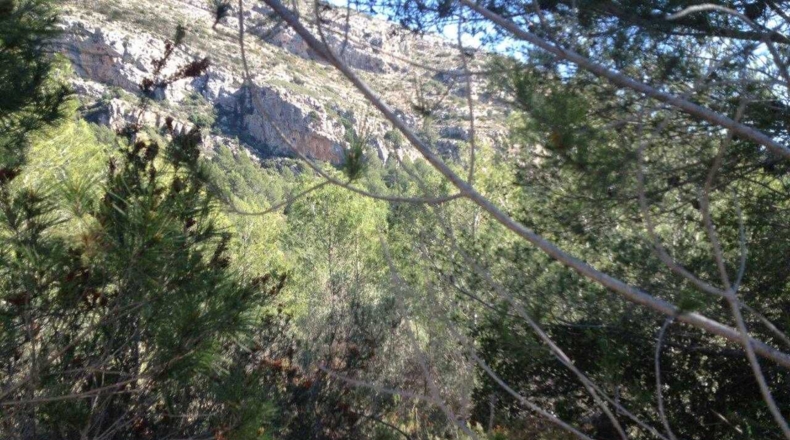 Alicante - Xaló - 5321m2