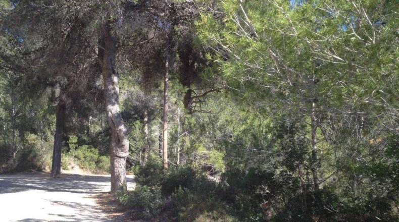 Alicante - Xaló - 5321m2