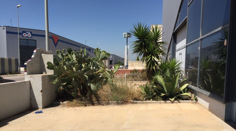 Castellón - Almassora - 220m2