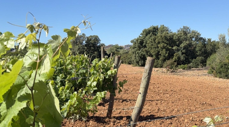 Tarragona - Santa Oliva - 15000m2