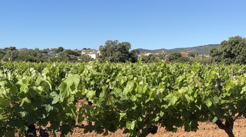 Tarragona - Santa Oliva - 15000m2