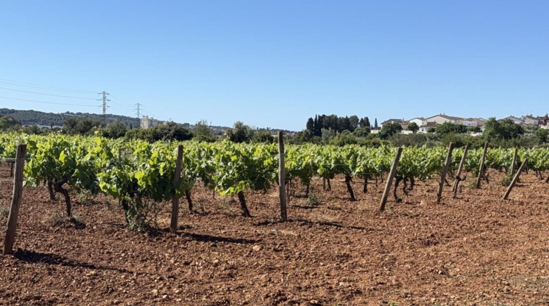 Tarragona - Santa Oliva - 15000m2