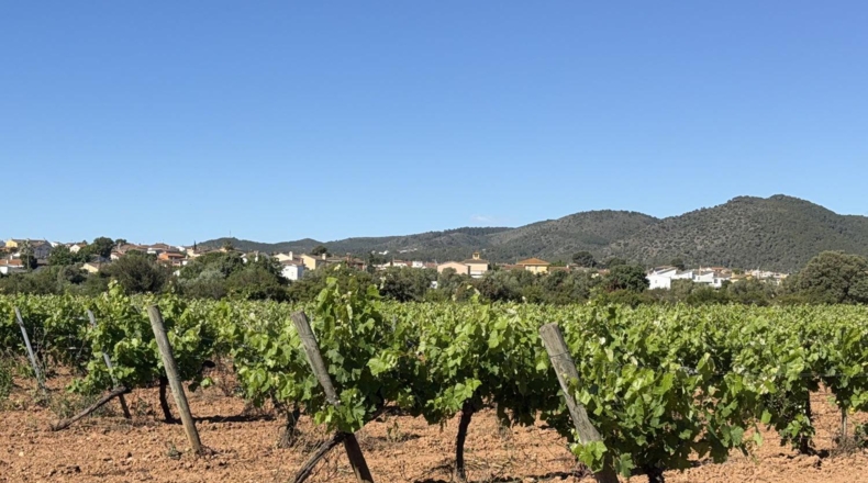 Tarragona - Santa Oliva - 15000m2
