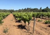 Finca rústica en venda a Santa Oliva ref.: TR408991 foto