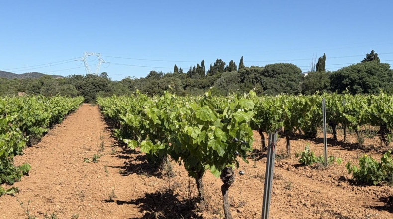 Tarragona - Santa Oliva - 15000m2