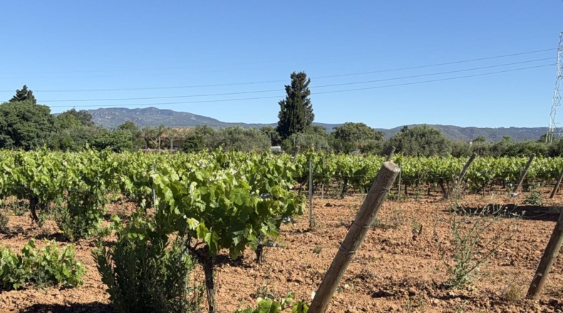 Tarragona - Santa Oliva - 15000m2