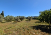 Отдельно стоящий дом с участком на продажу в городе Tortosa. Фото