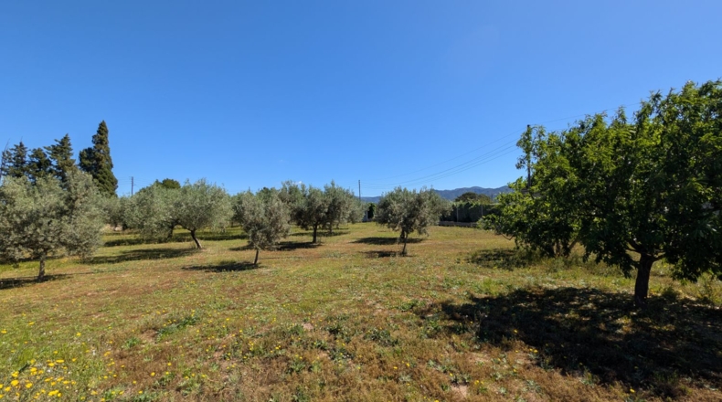 Tarragona - Tortosa - 44000m2