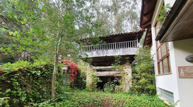 Астурия - Santullano de Tineo - 5771m2