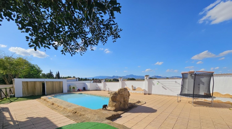 Murcia - Molina de Segura - 2500m2