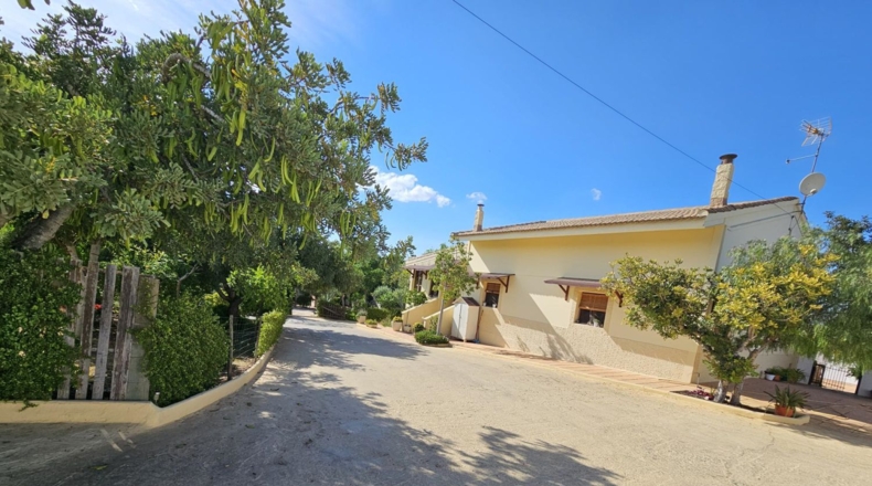 Murcia - Molina de Segura - 2500m2