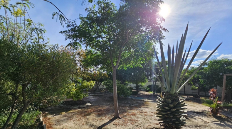 Murcia - Molina de Segura - 2500m2