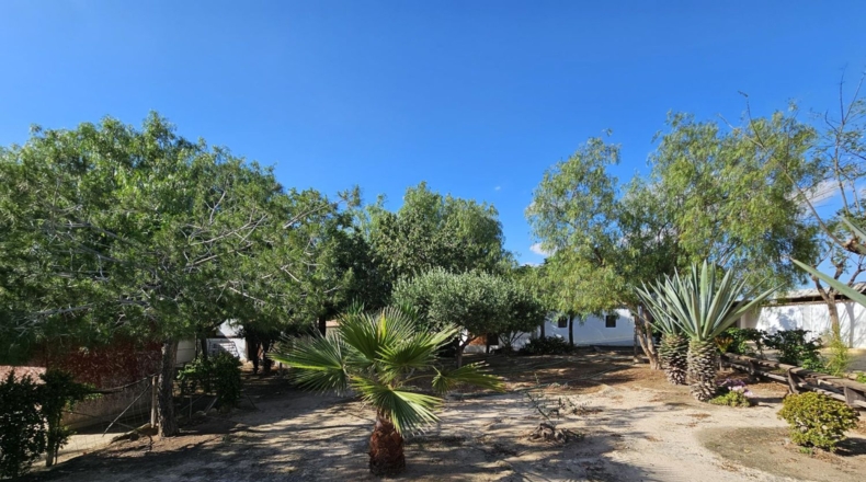 Murcia - Molina de Segura - 2500m2